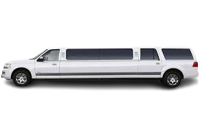 Image hover effect image